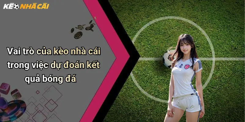 Vai trò của kèo nhà cái trong việc dự đoán kết quả bóng đá