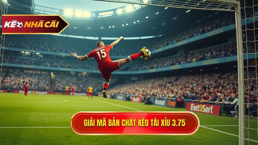 Hiểu rõ bản chất kèo tài xỉu 3.75 hiệp 2 là gì?