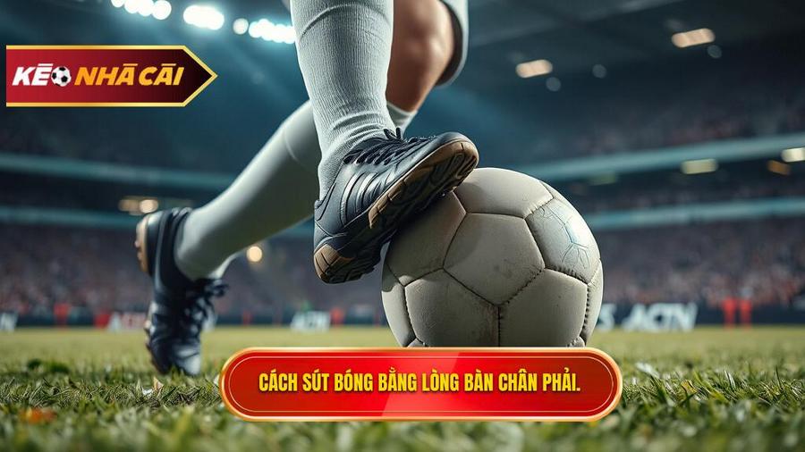 Hướng dẫn chi tiết các bước thực hiện kỹ thuật sút bóng bằng lòng bàn chân phải