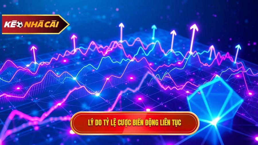 Phân tích đa chiều: Tại sao tỷ lệ cược lại biến động?