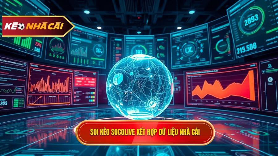 Phân tích đa chiều: Tại sao nên soi kèo bóng đá Socolive kết hợp dữ liệu nhà cái?