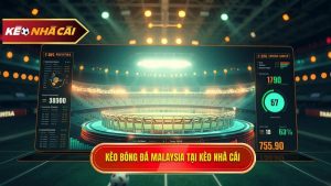 Kèo bóng đá Malaysia: Phân tích chuyên sâu và kinh nghiệm soi kèo thắng lớn