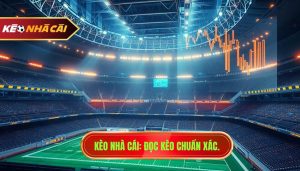 Cách đọc tỷ lệ kèo bóng đá chuẩn xác từ chuyên gia KÈO NHÀ CÁI